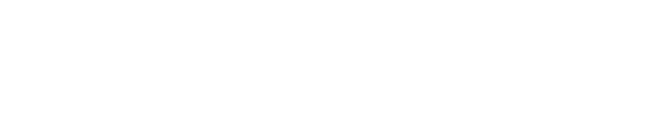 Metzeler